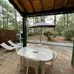 Maison Cosy Clim Jardin Proche Ocean Lacanau